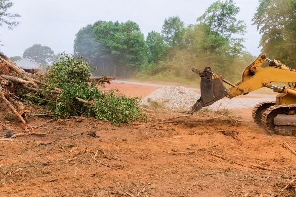 Ground Clearing in Santa Maria