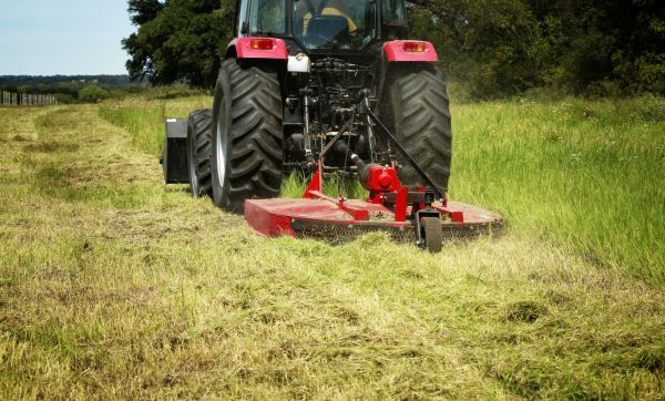 Brush Clearing Service in Santa Maria