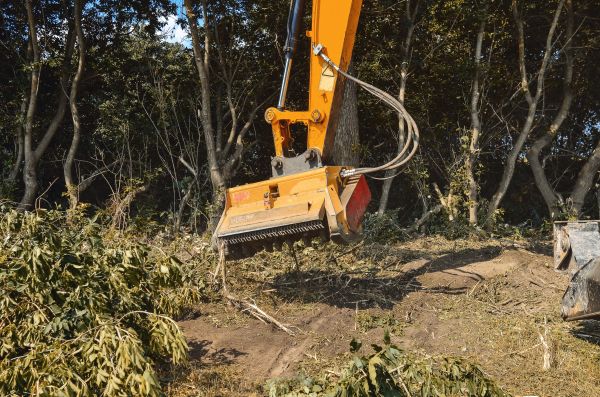 Brush Removal Service in Santa Maria
