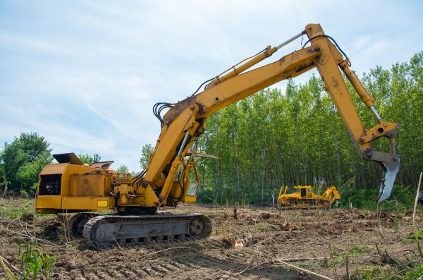 Cost of Farm Clearing in Santa Maria