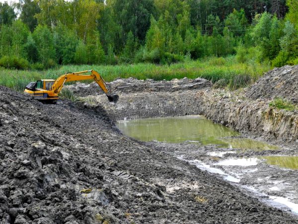 Cost of Lake Lot Clearing in Santa Maria
