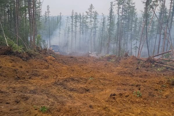 Cost of Hill Clearing in Santa Maria