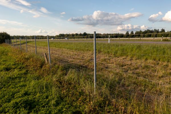 Cost of Property Line Clearing in Santa Maria