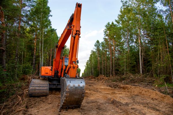 Cost of Backhoe Land Clearing in Santa Maria