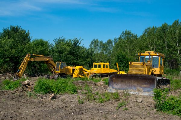 Cost of Bulldozer Clearing in Santa Maria