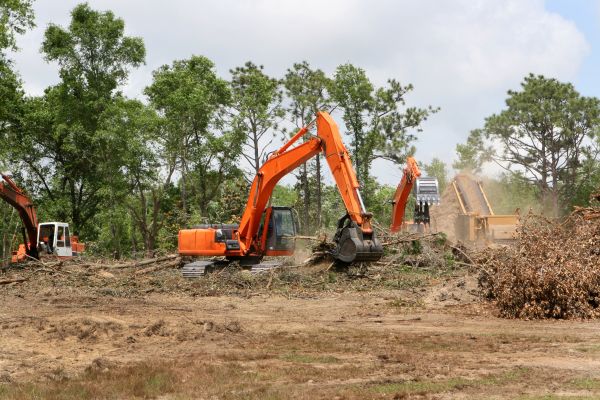 Cost of Commercial Lot Clearing in Santa Maria