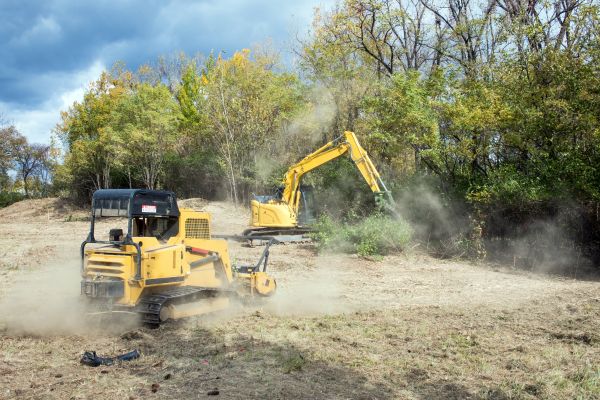 Cost of Terrain Clearing in Santa Maria