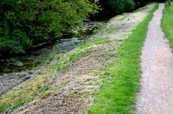 Cost of Trail Cutting in Santa Maria