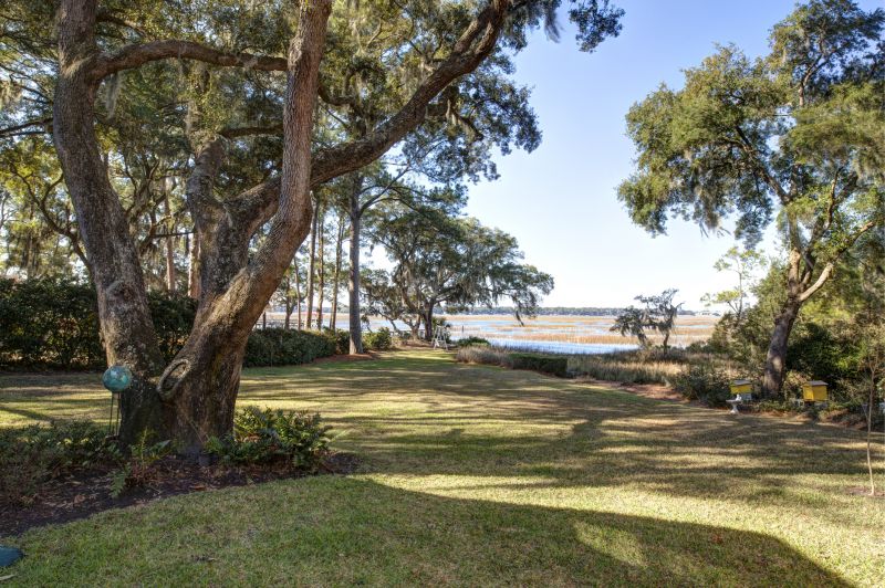 Forestry Clearing detail