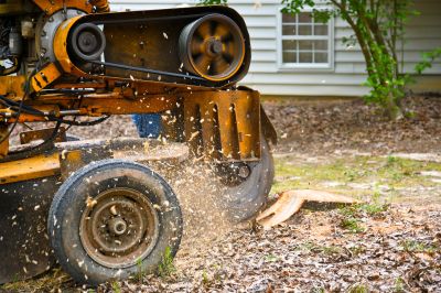 Stump Grinding Machines