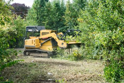 Expert Land Clearing Teams